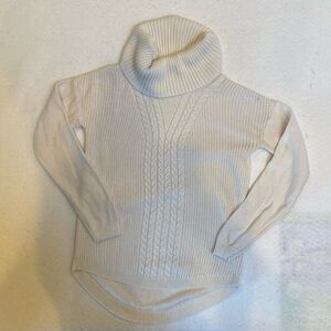 Banana Republic Turtleneck Sweater